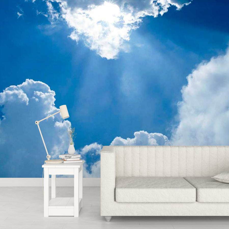 фотообои беззвездное небо с лучами солнца 9-395