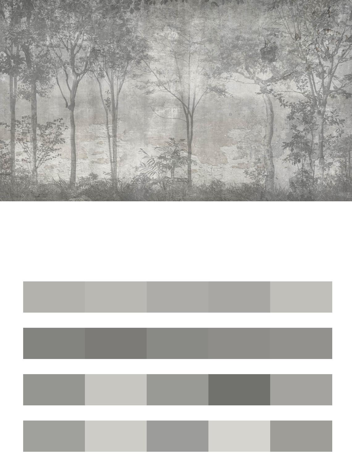 Темно серый лес цвета