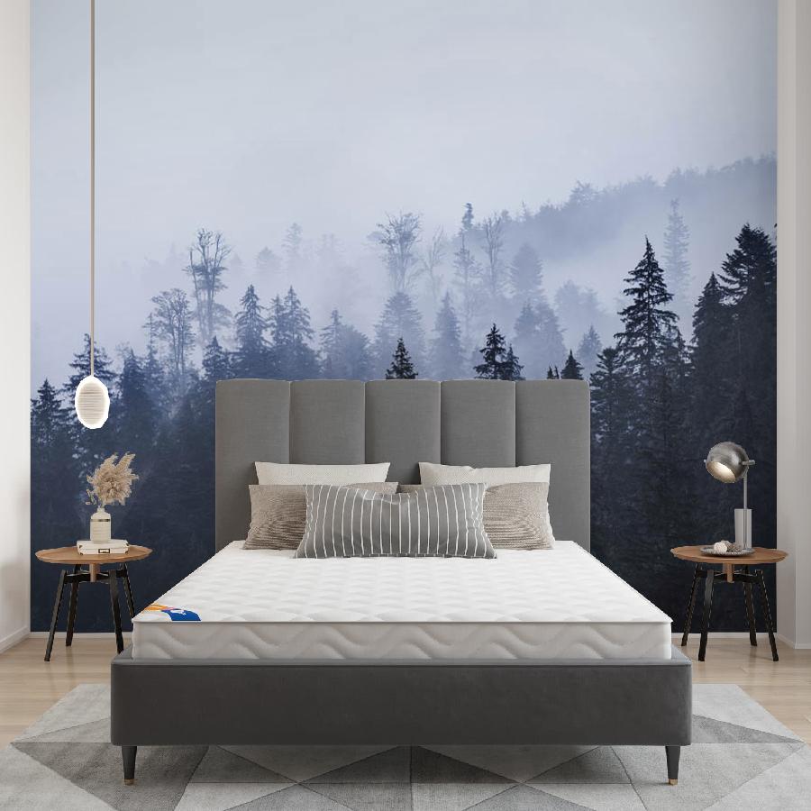 фотообои еловый лес в тумане 9-1170