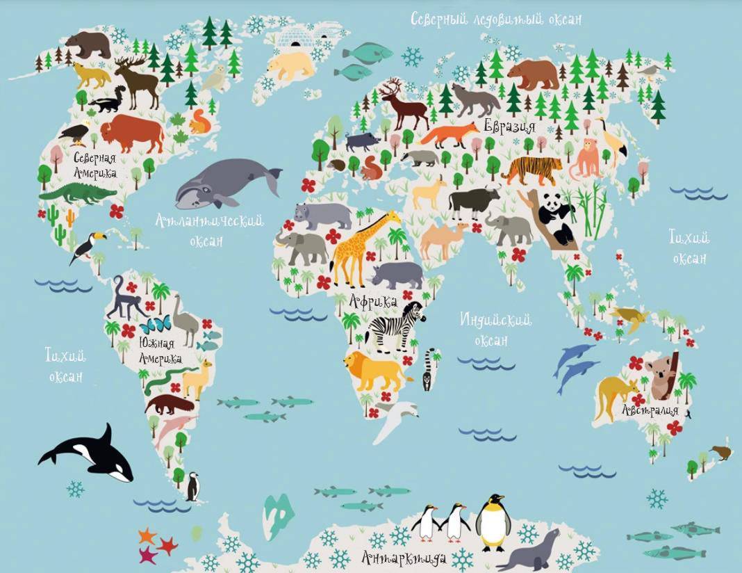 Фотообои Детская карта с животными на русском