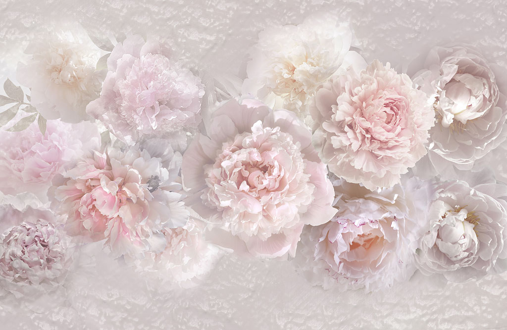 фотообои нежные розы 13-085