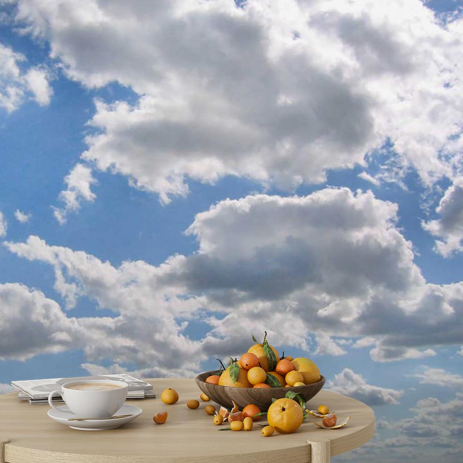 фотообои легкое небо 9-377