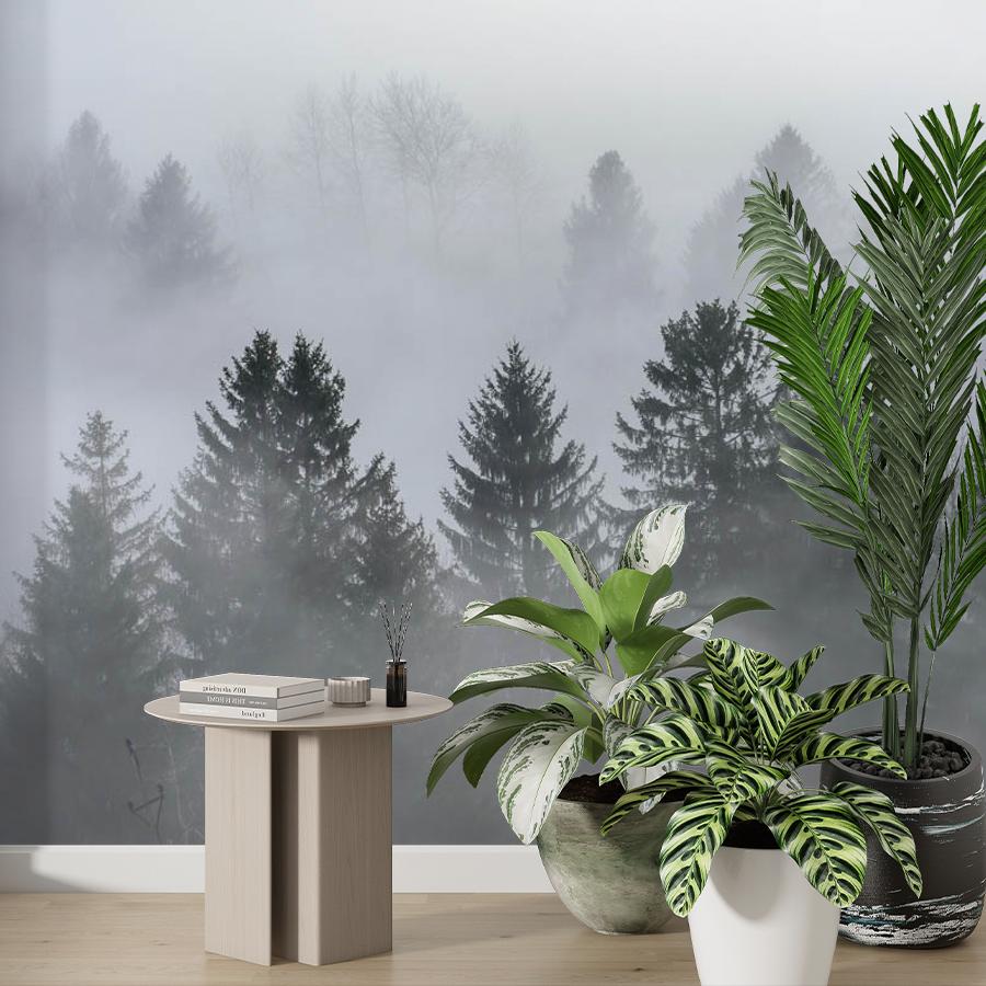 фотообои туманное утро в лесу 9-1165