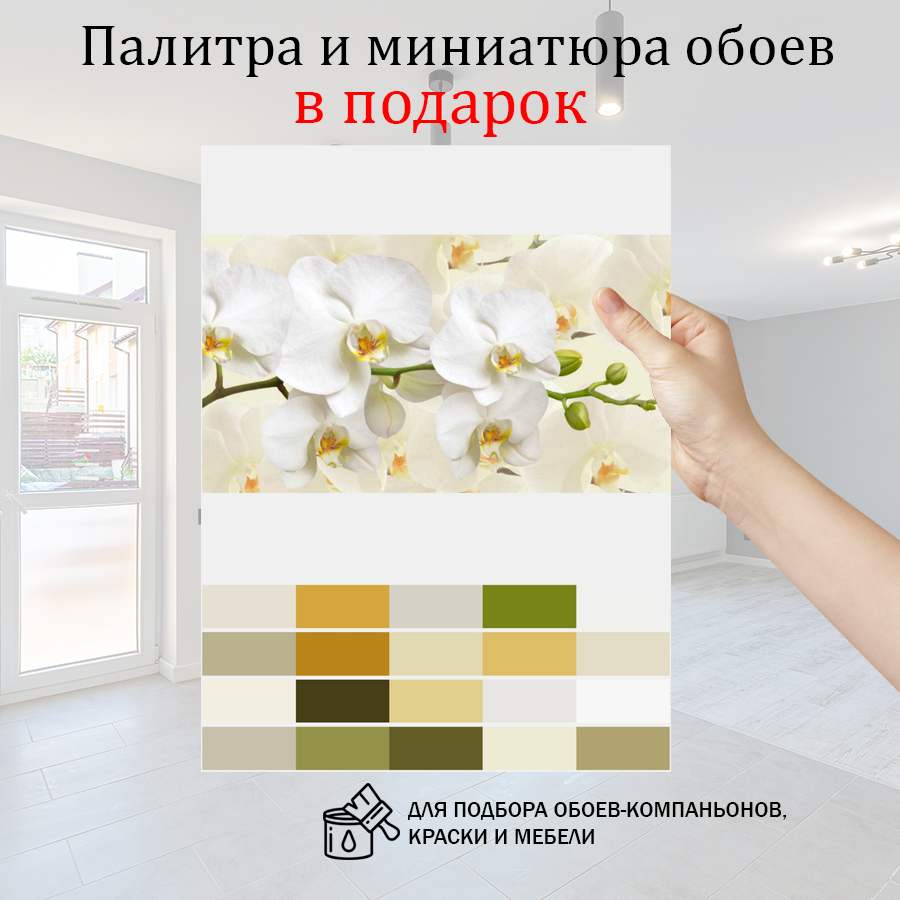 фотообои белая орхидея пленительная 10-162