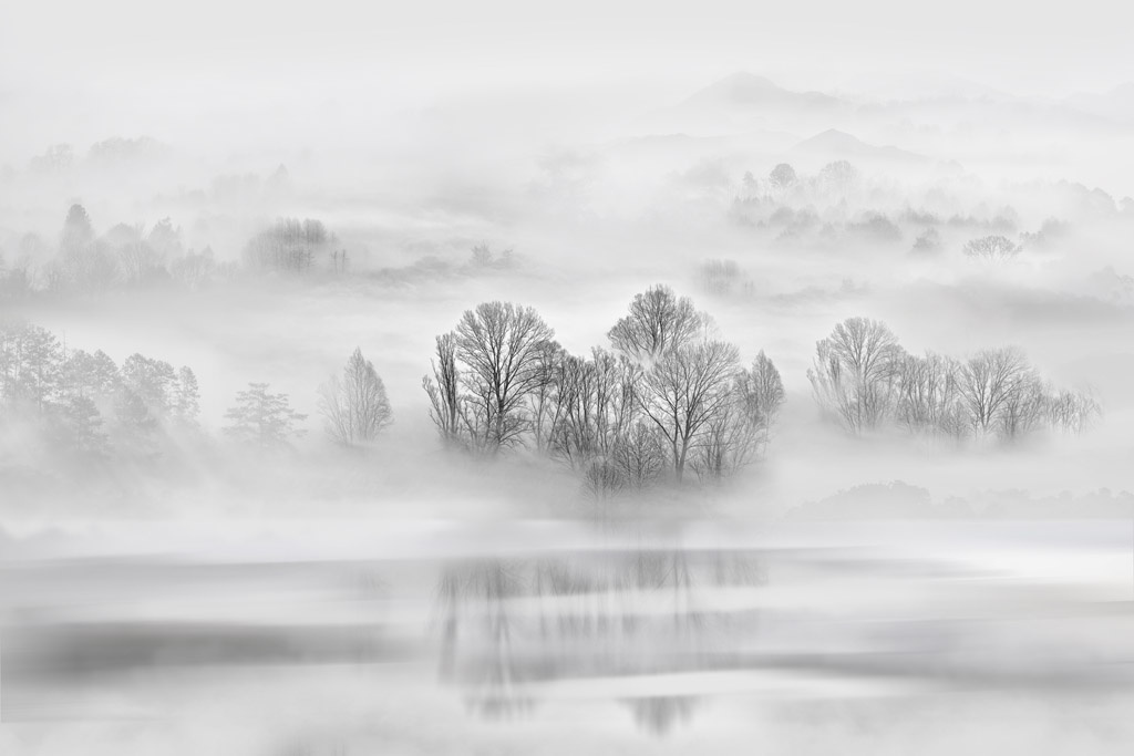 Фотообои Туманный лес в отражении