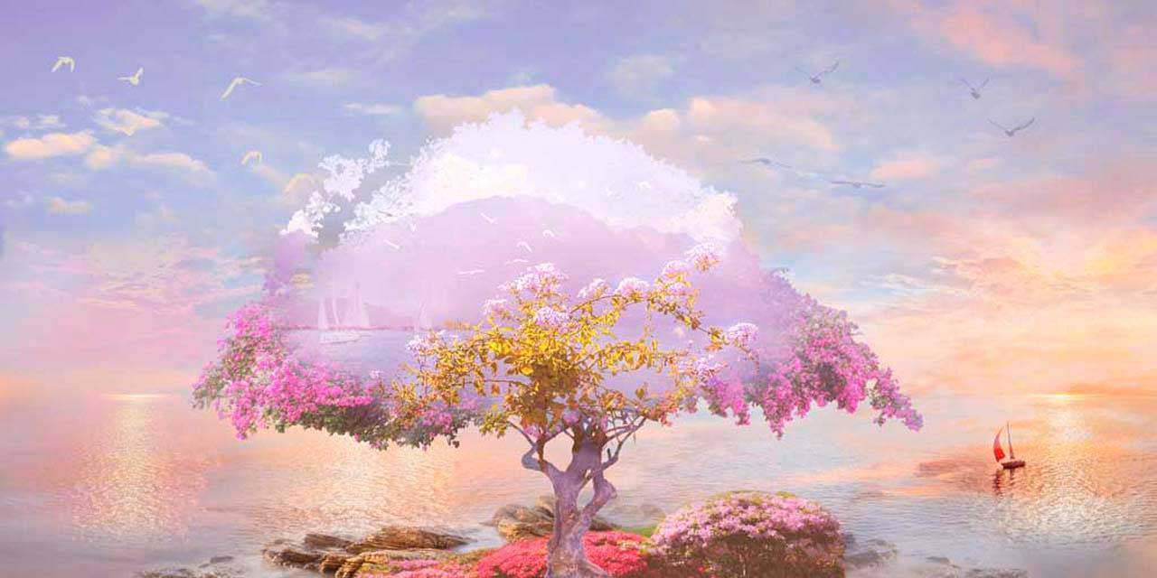 Фотообои Розовое дерево