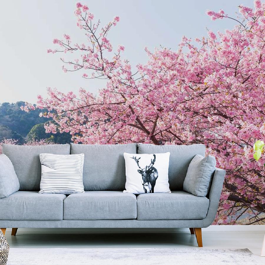 фотообои сакура на берегу реки 10-038