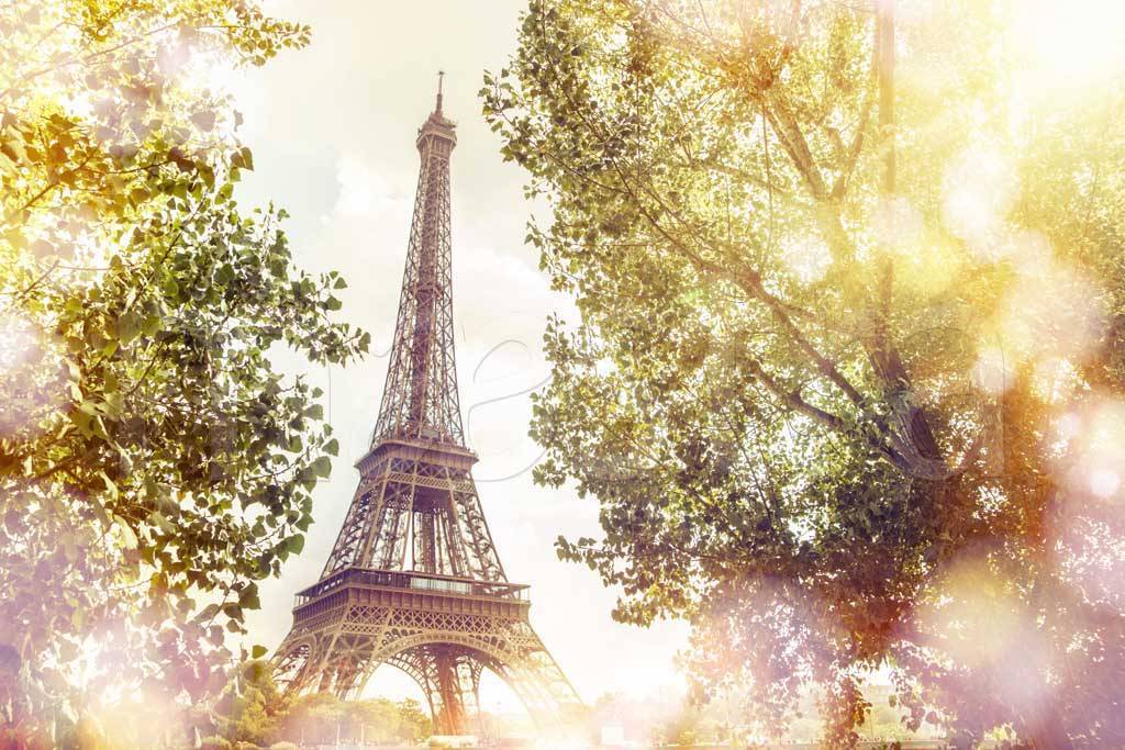 Фотообои Эйфелева башня в лучах солнца и зелени