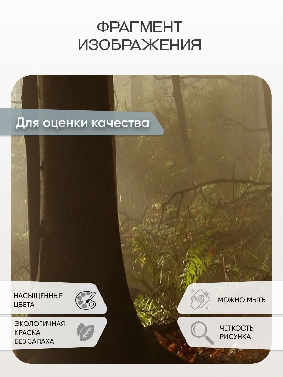 Фотообои «Осенний туманный лес» 13-880 — крупный план