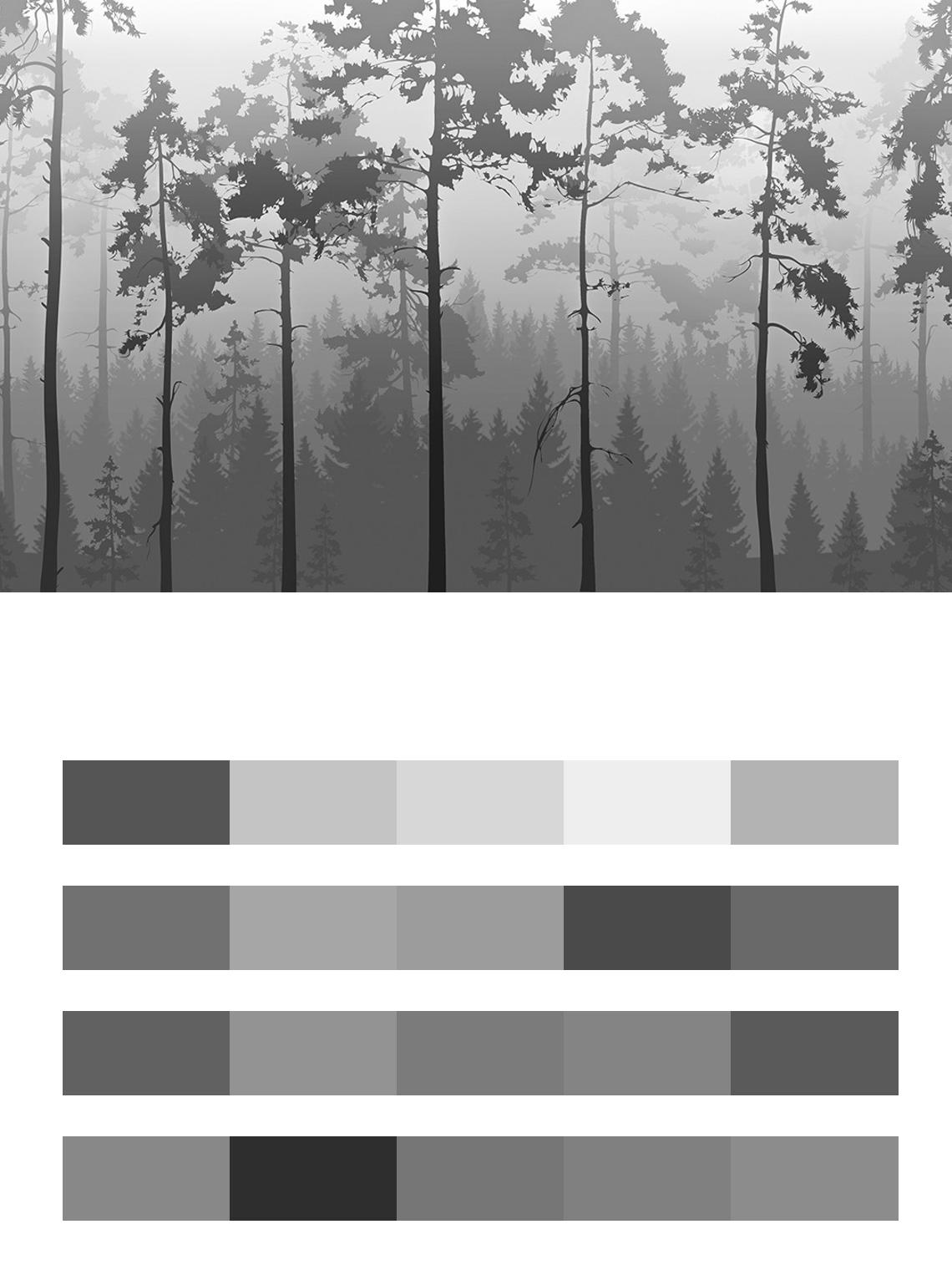 Серый туманный лес цвета