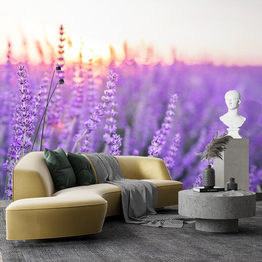 фотообои цветок лаванды 9-1731