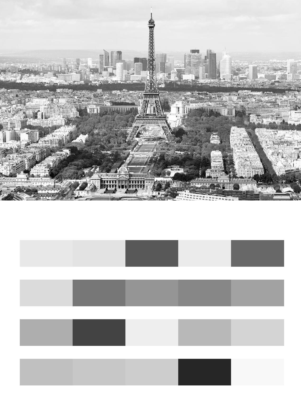 Черно белый Париж вид сверху цвета