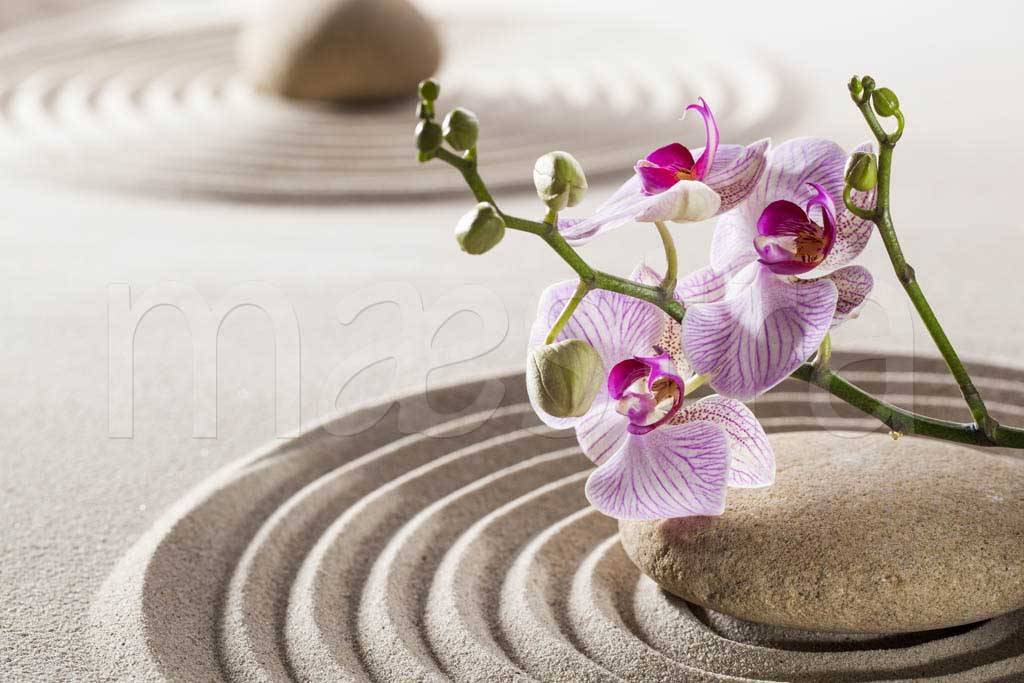 Фотообои Розовая орхидея на песке