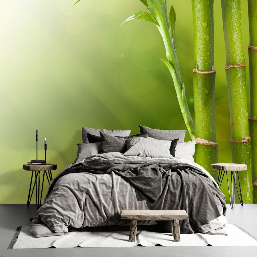 фотообои бамбук фон 9-1760