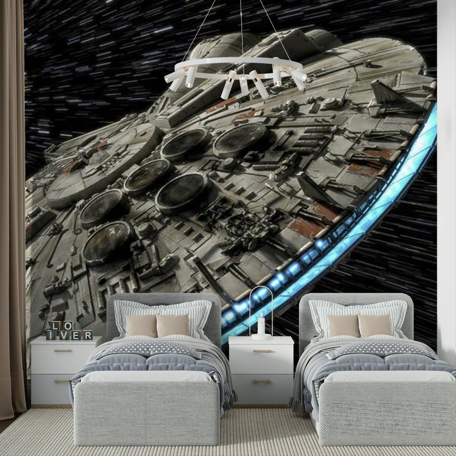 фотообои тысячелетний сокол 12-1216