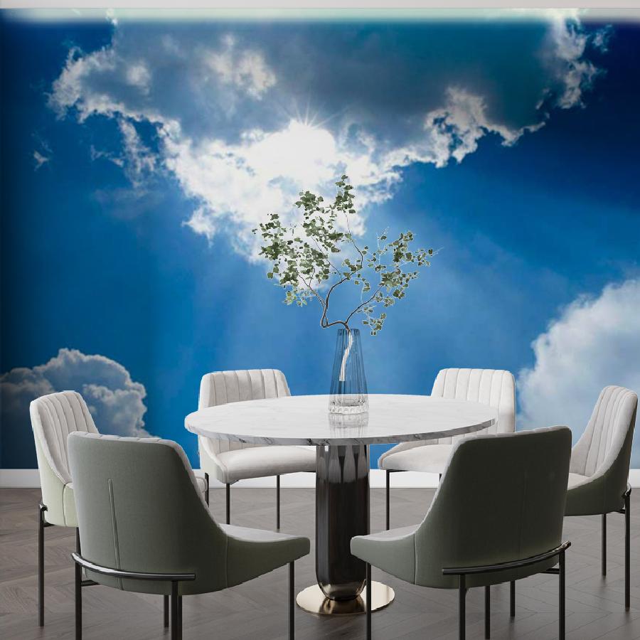 фотообои беззвездное небо с лучами солнца 9-395