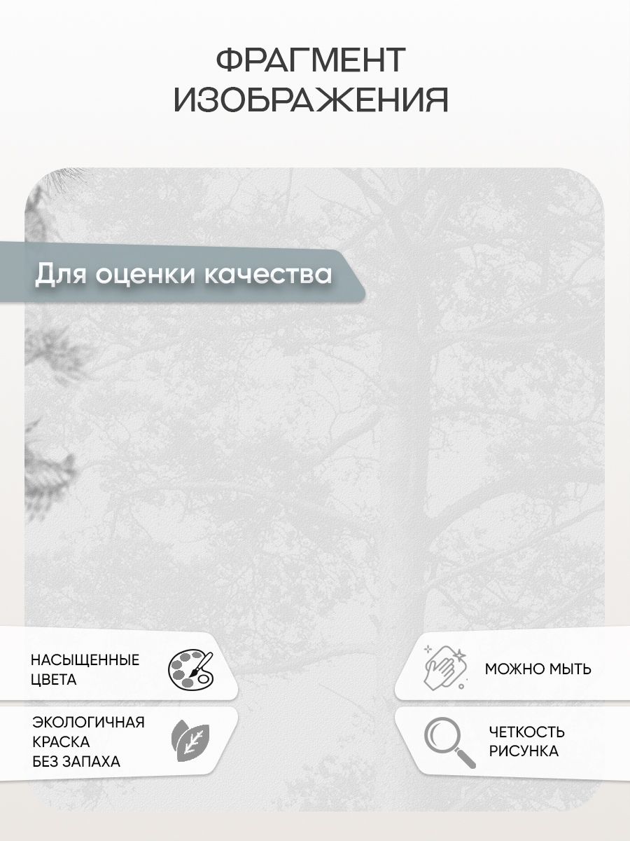 Фотообои «Лес сосновый фон» 7-995 — крупный план