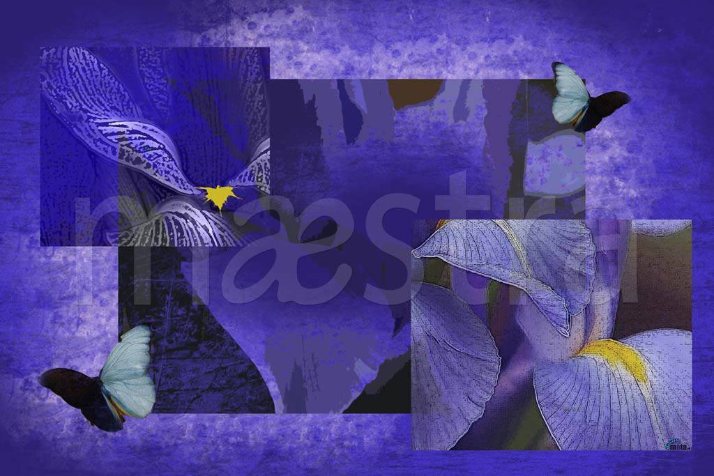 Фотообои Темные орхидеи абстракция