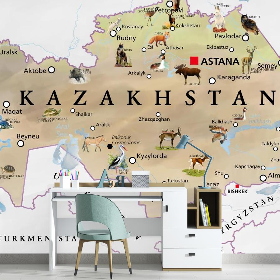 фотообои карта казахстана 14-1066
