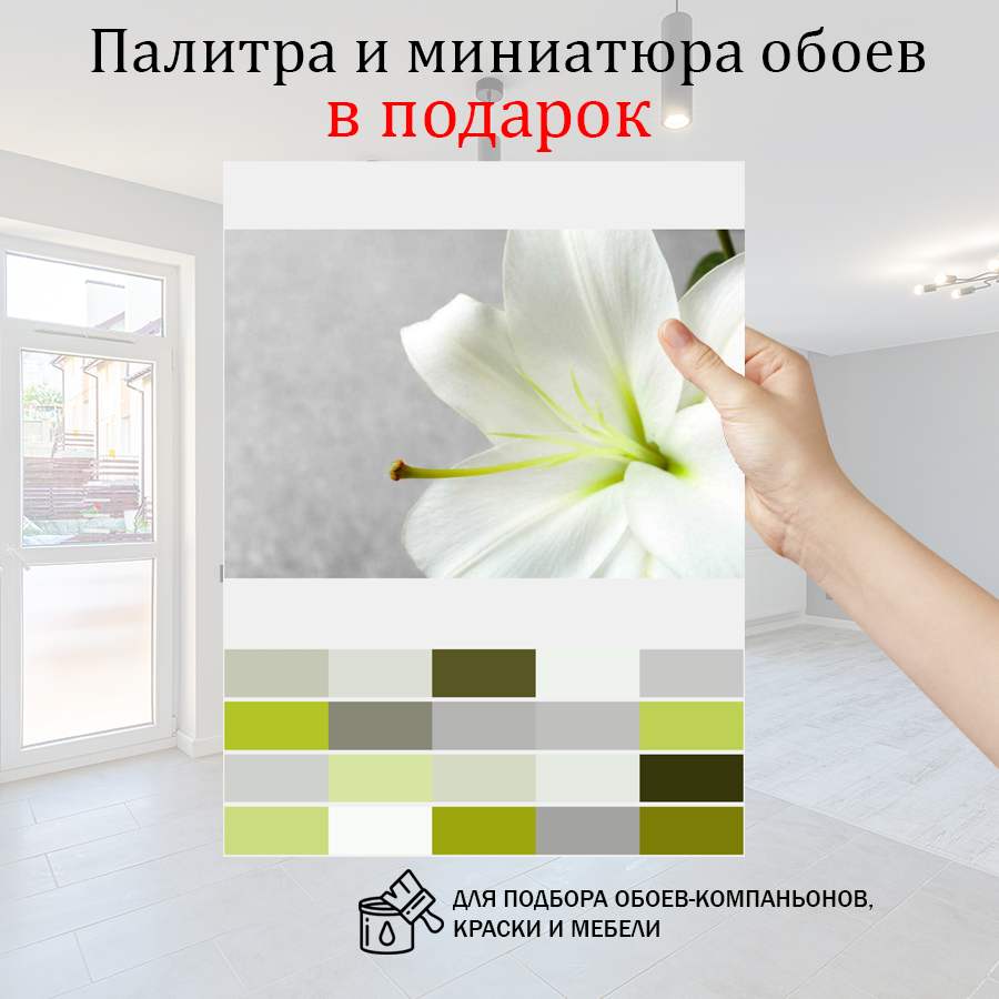 фотообои цветок белой лилии 10-360