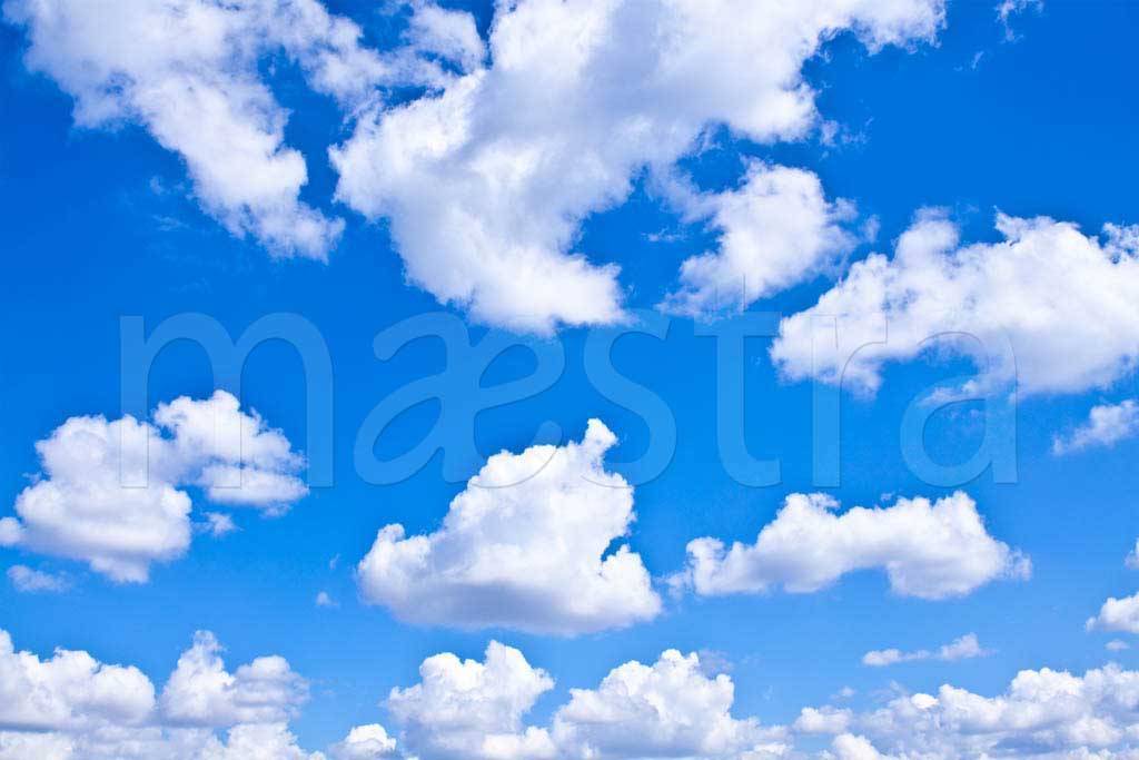 Фотообои Ясное синее небо с белыми облаками на стену, Арт. 9-317 купить в Москве в интернет-магазине, цены в Мастерфресок