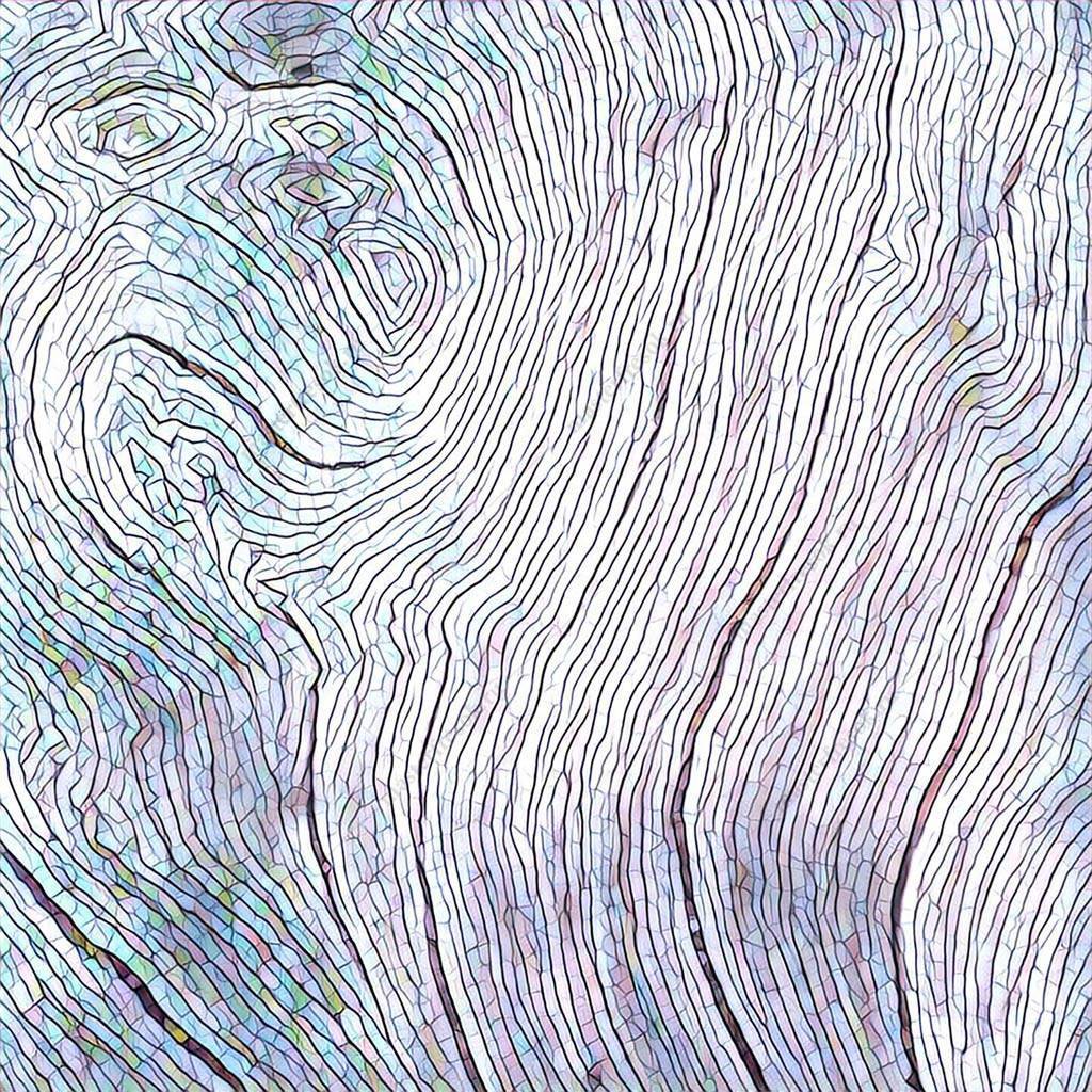 Фотообои Текстура дерева