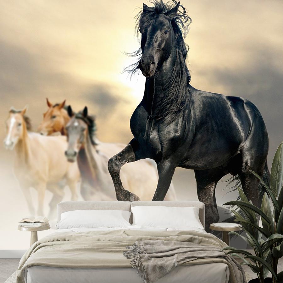 фотообои конь черный 9-1771