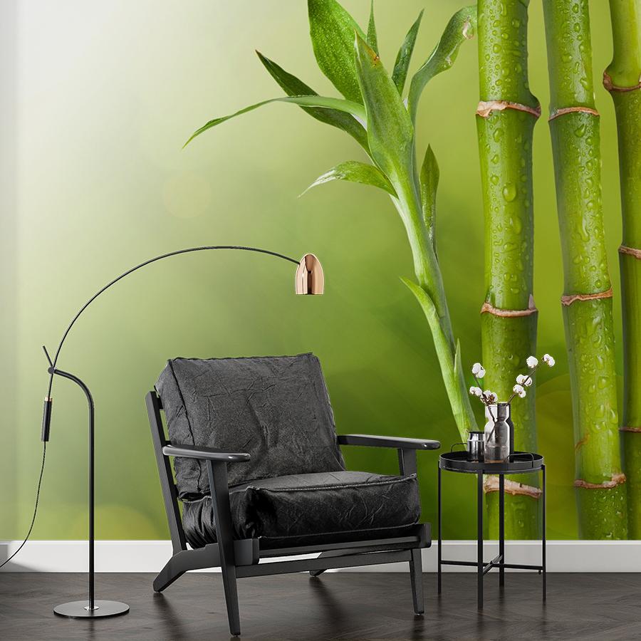 фотообои бамбук фон 9-1760