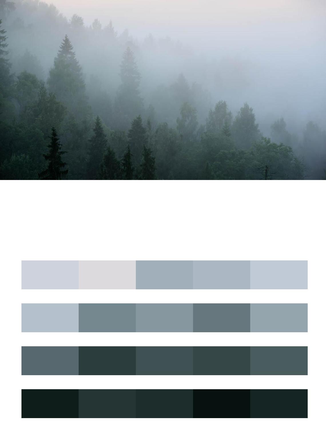 Рассвет в тумане цвета