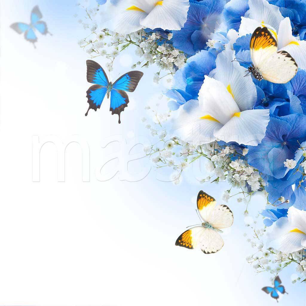 Фотообои Синие цветы и бабочки