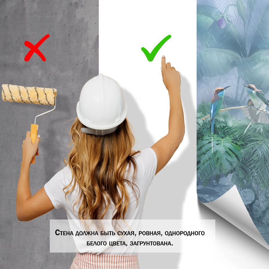 фотообои тропический лес в тумане 13-055