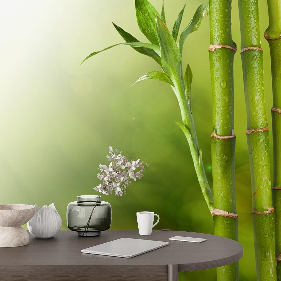 фотообои бамбук фон 9-1760
