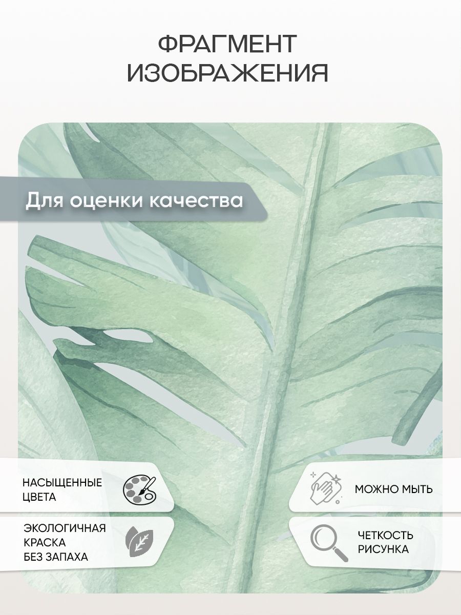Фотообои «Мятные листья» 13-540 — крупный план