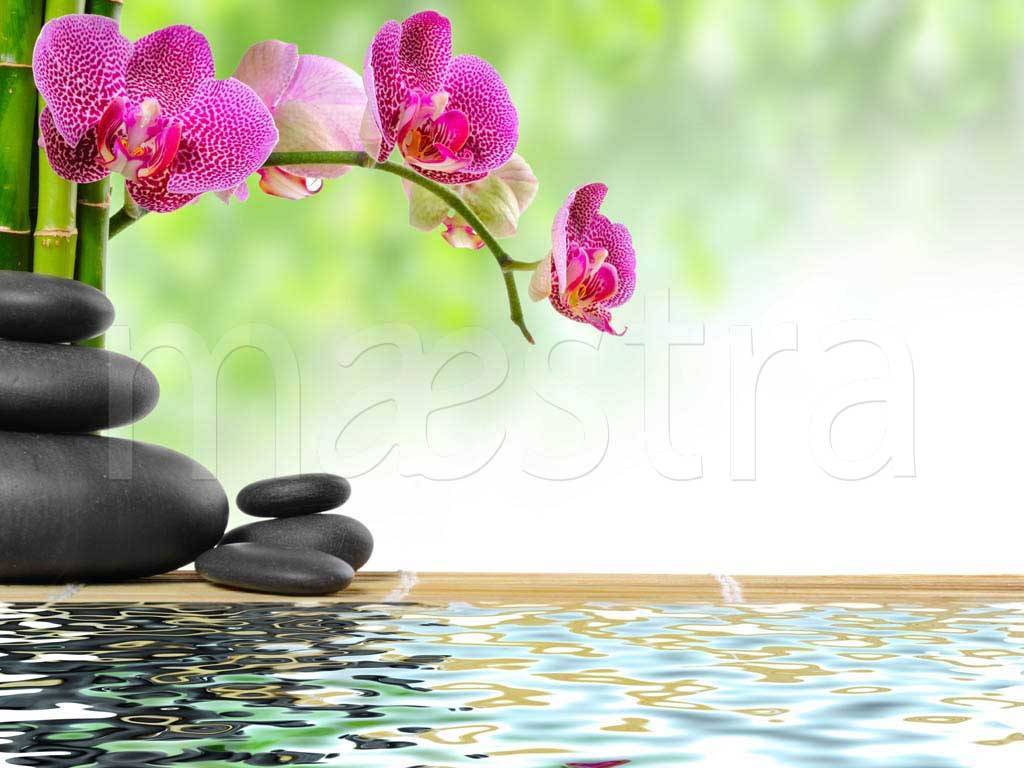 Фотообои Фиолетовая орхидея над водой и камни