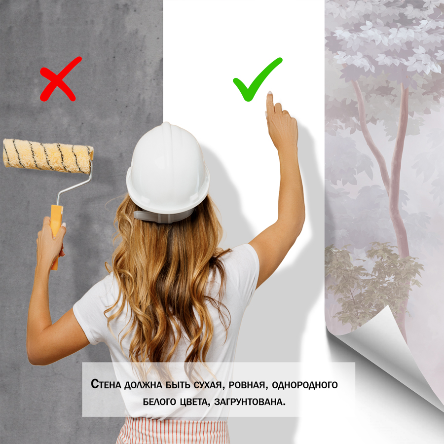 фотообои лес туманным утром 13-473