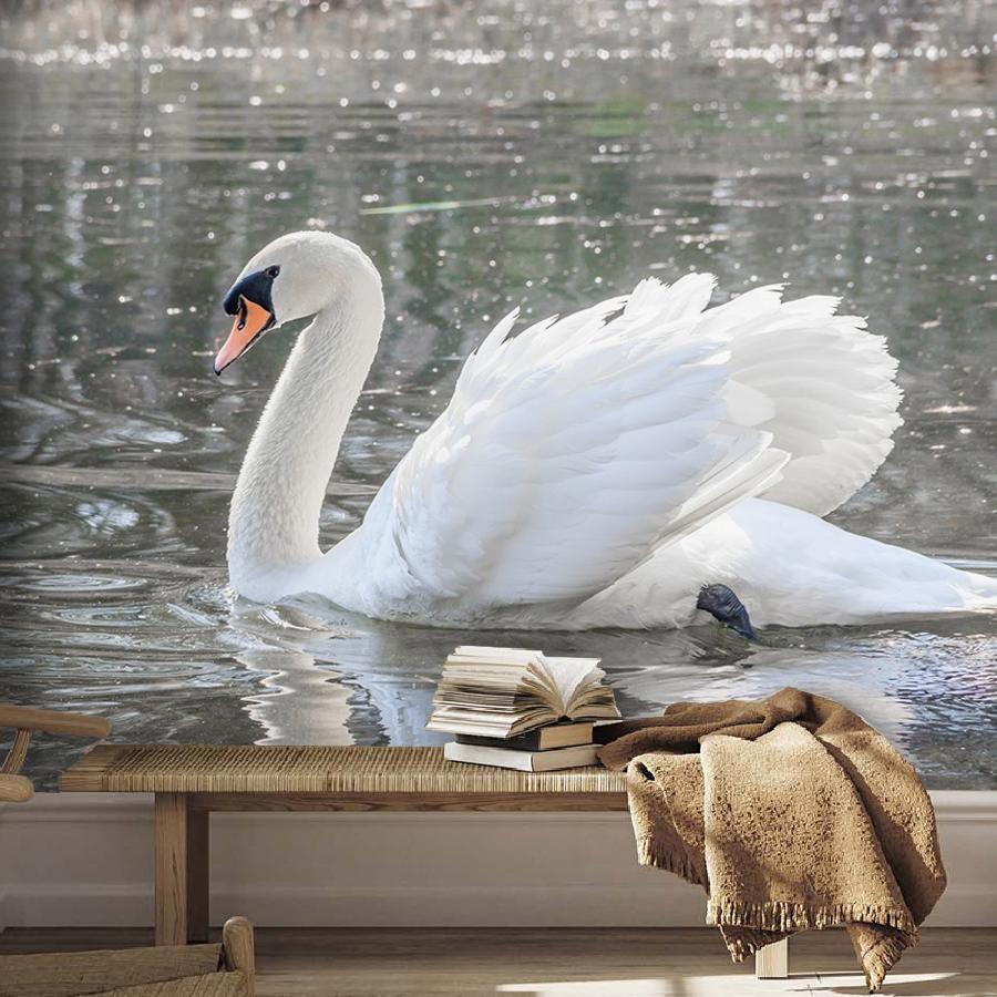 фотообои лебедь на воде 9-1733