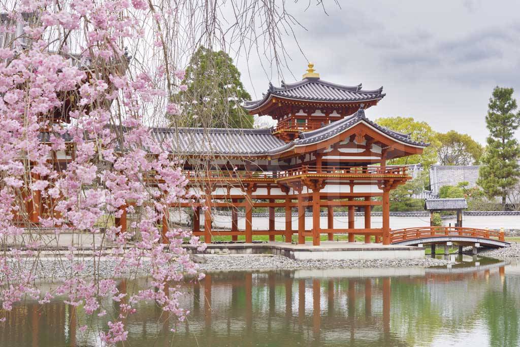 Фотообои Удивительный сад Храма Киото в Японии