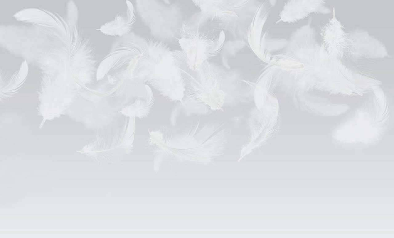 Фотообои Белые перья на сером фоне