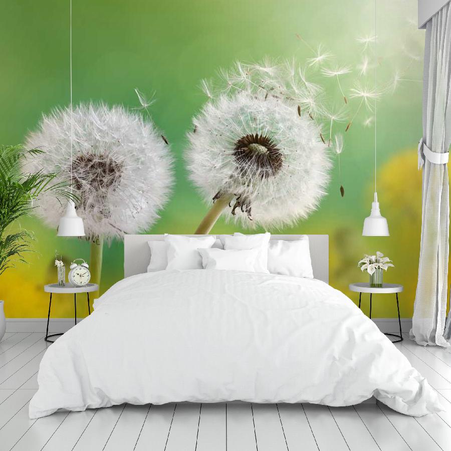 фотообои белые одуванчики 10-067
