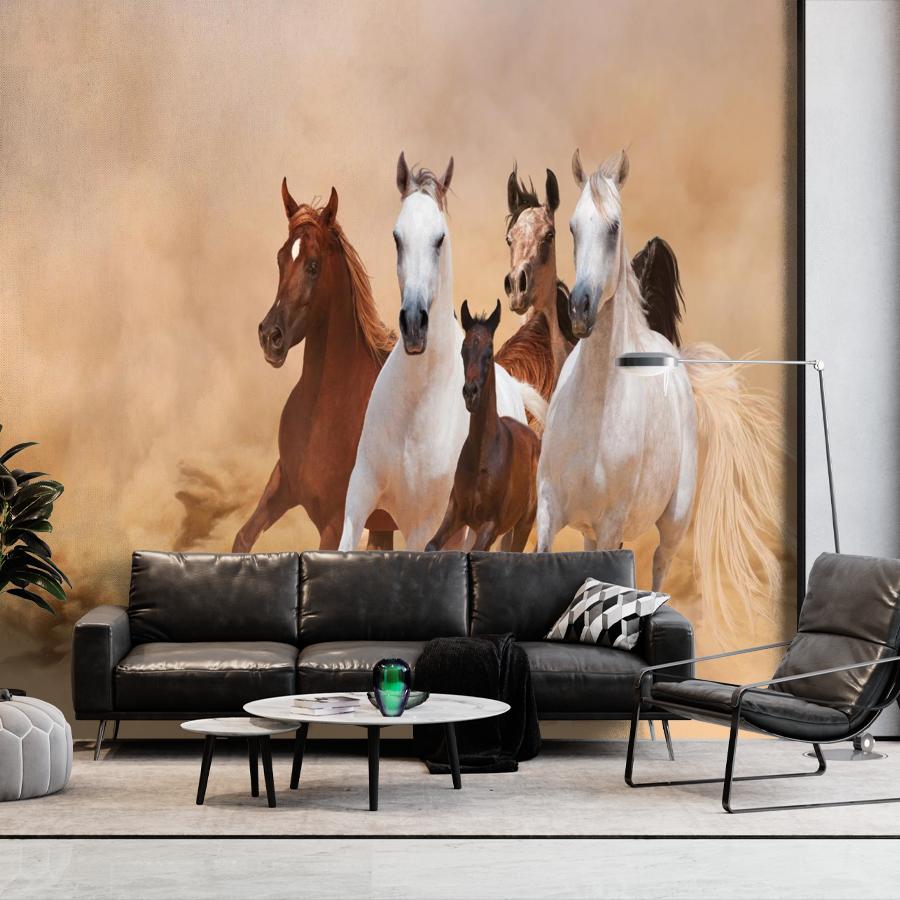 фотообои кони 14-1016