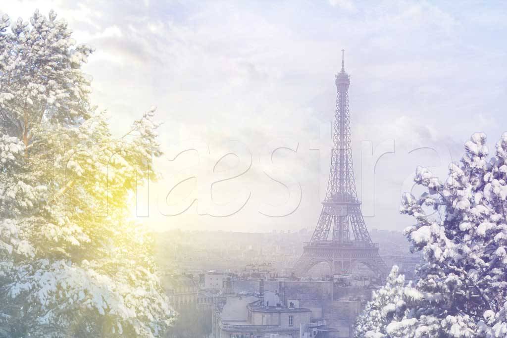 Фотообои Зимний пейзаж Парижа
