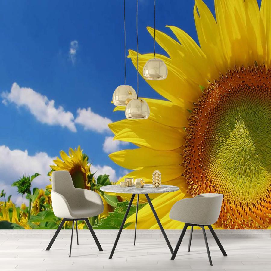 фотообои желтый подсолнух 3 д на фоне неба 9-386