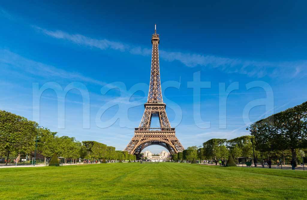 Фотообои Париж Эйфелева башня на зеленой лужайке