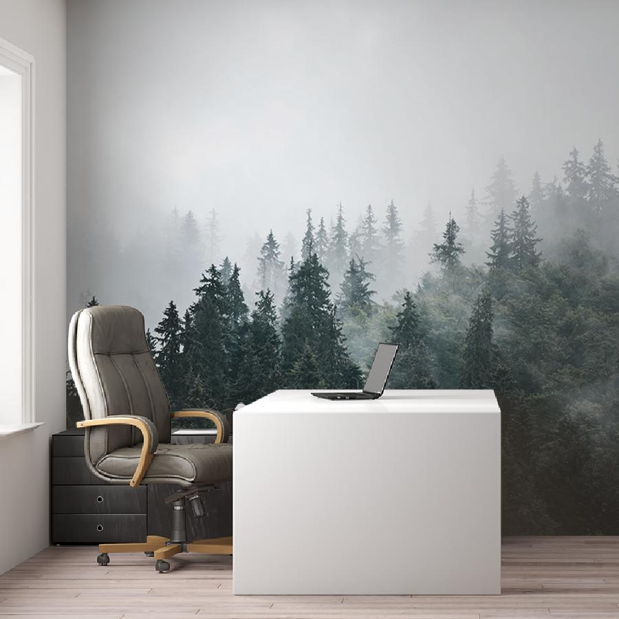 фотообои лес туманный утром 9-1859