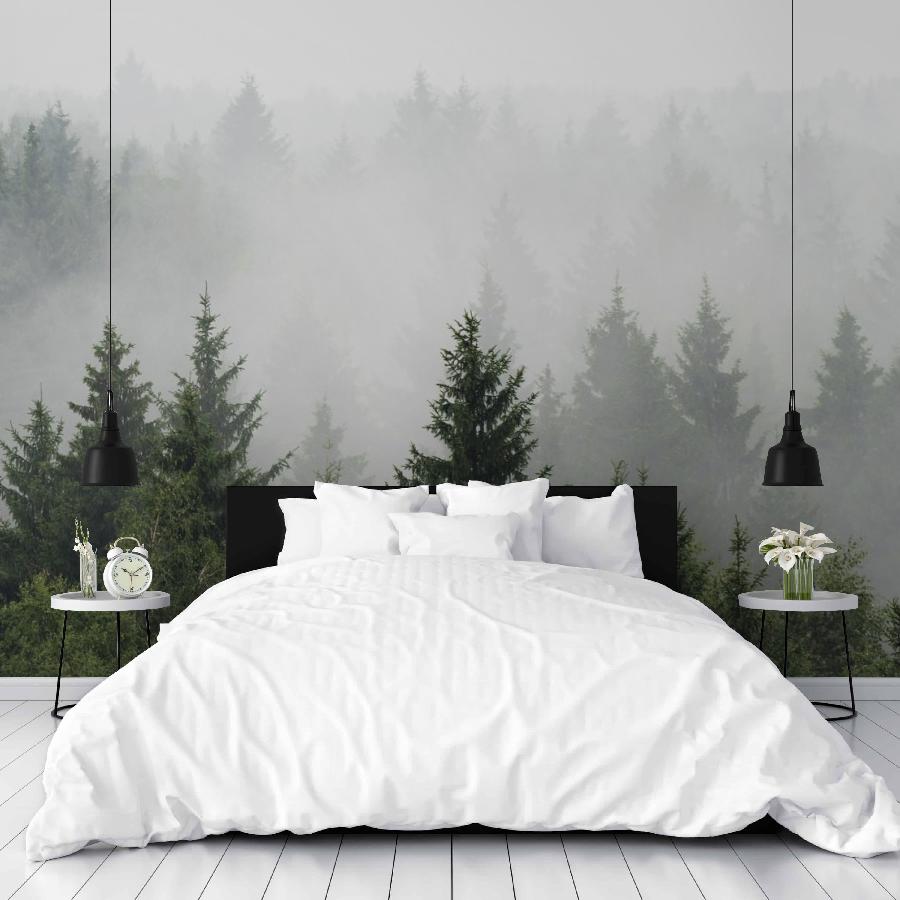 фотообои туман в утреннем лесу 9-1215