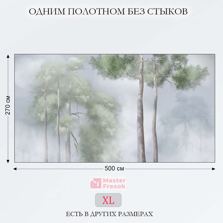 фотообои сосны в тумане 13-510