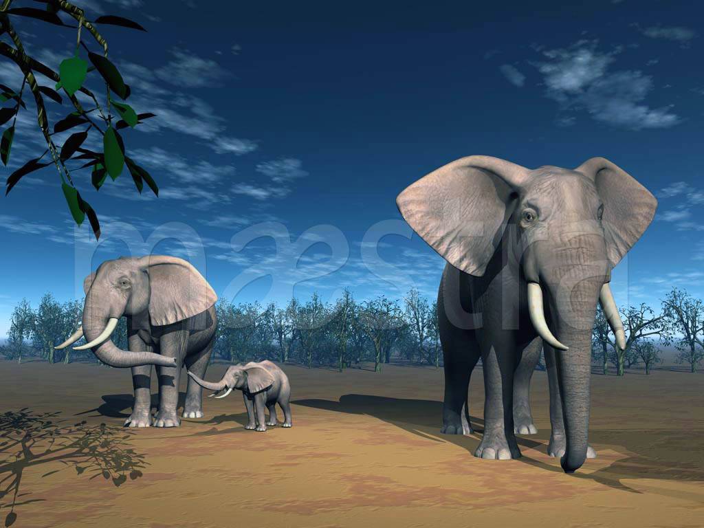 Фотообои Слоны в пустыне
