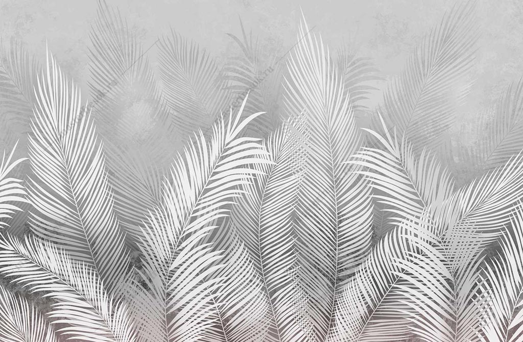 Фотообои Пальмовые листья светло-серые