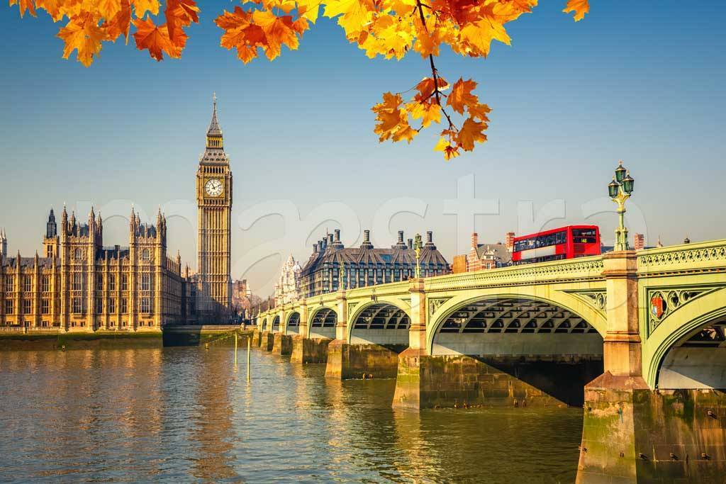 Фотообои Желтая листва в Лондоне