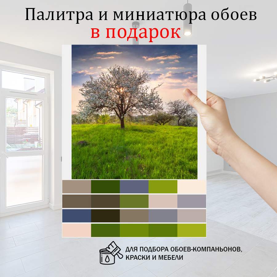 фотообои закат в яблоневом саду 10-094